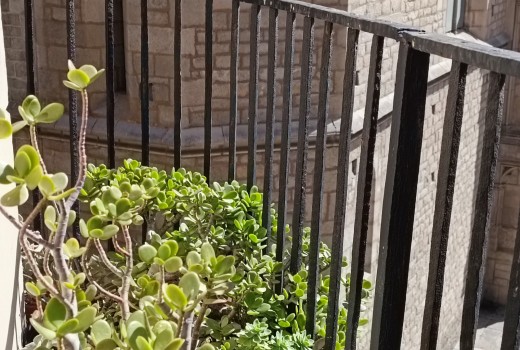 Sale - Piso -
Barcelona - El Gòtic