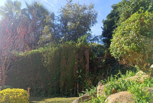 Sale - Chalet -
Lloret de mar - Blanes - Tossa de mar - 1